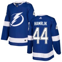 Roman Hamrlik Tampa Bay Lightning Adidas Youth Authentic Home Jersey - Blue